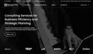 Pearl Lemon Consulting Website