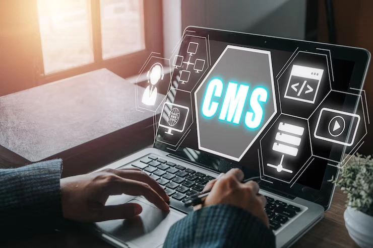 CMS Implementation And Customisation