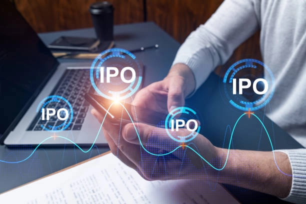 2. IPO Roadshow Support