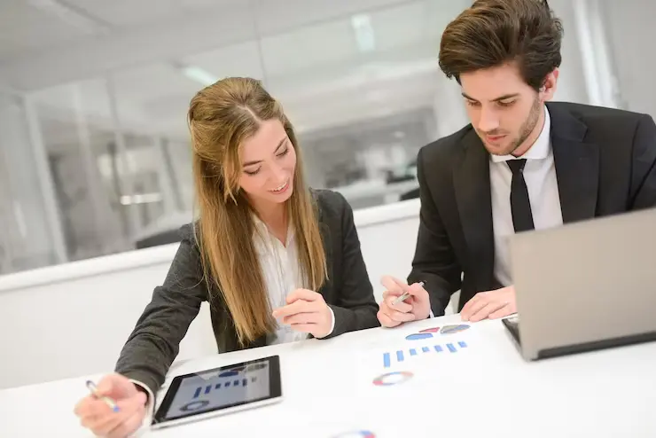 Campaign Audit aand Cost Efficiency Analysis