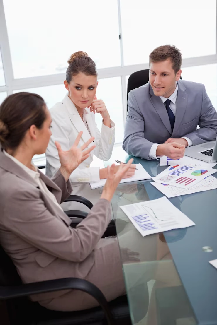 Media Planning and Budget Allocation