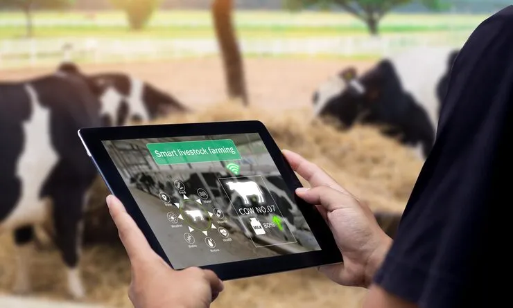 Digital Marketing For Cattle Farms
