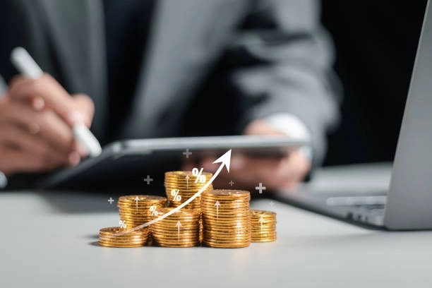 Capital raising marketing