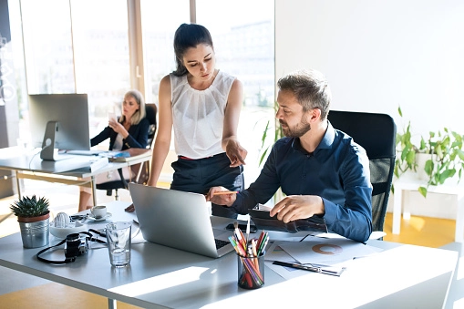 Investor Story Development