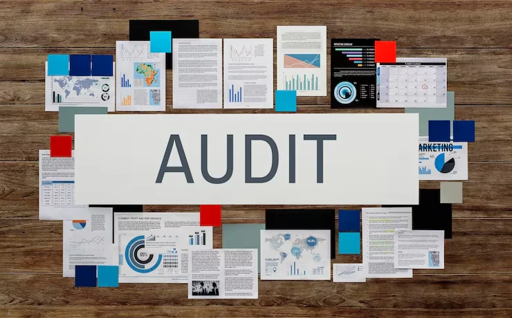 Backlink Audits