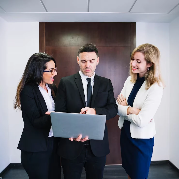 Programmatic Consulting And In-House Supportk